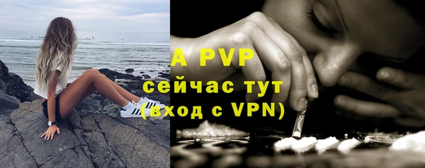 стаф Горняк