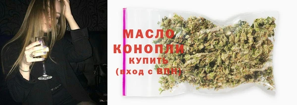 стаф Горняк