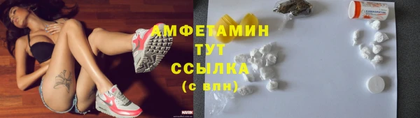 стаф Горняк
