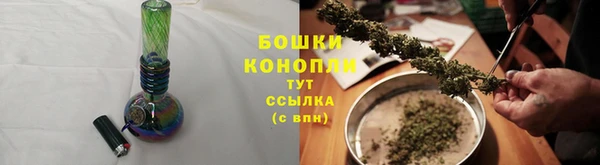 стаф Горняк