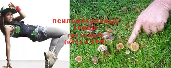 стаф Горняк
