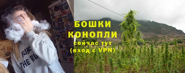 Альфа ПВП Горнозаводск
