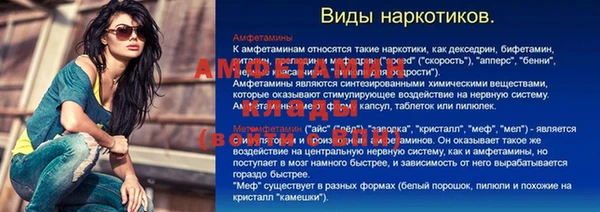 индика Вязьма