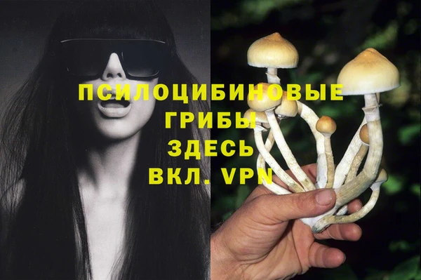 сатива Гусиноозёрск